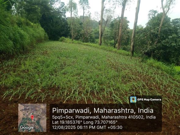 Pimparwadi Ambe